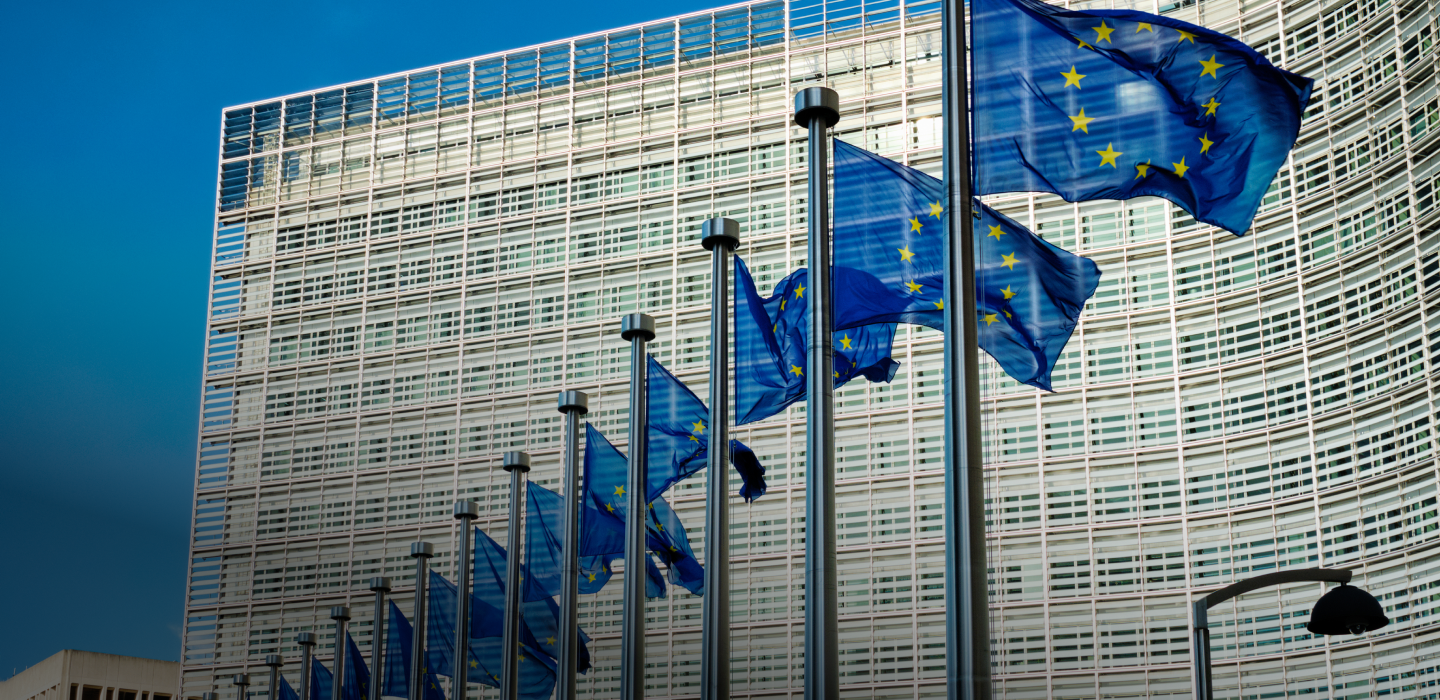 Zdjęcie flag Unii Eurpejskiej